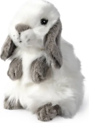 Image de Lapin gris hollandais - Peluche « Żywa Natura »