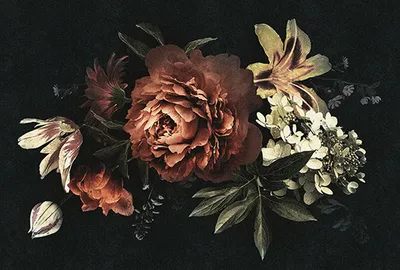 Produktbild von Tadessi Fototapete | Blumen | 4.00 m x 2.70 m | Rot | Schwarz | Wandbild | Digitaldruck
