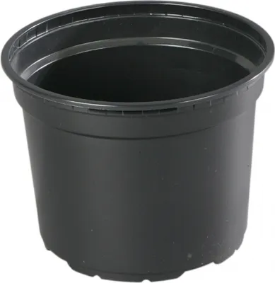 Immagine prodotto di Vaso da fiori in plastica leggera PREMIUM VCG d13cm