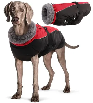 Immagine prodotto di Cappotto impermeabile per cani, inverno, caldo, colore rosso, taglia XL