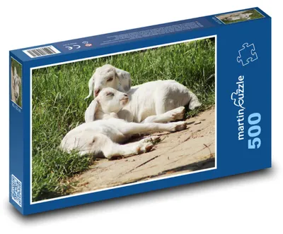 Obrázek produktu pro Puzzle 500 Kůzlata na Pastvině - martinpuzzle