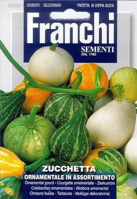 Produktbild von Samen - ZIERKÜRBIS