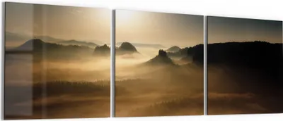 Produktbild von DEQORI Glasbild Echtglas 3x50x50 cm 'Goldener Waldhauch' Wandbilder XXL groß
