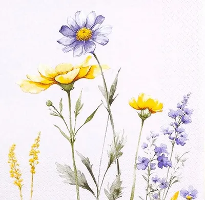 Produktbild von 20 Servietten Silvia - Sommerliche Eleganz 33x33cm