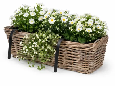 Produktbild von Hangekorb fur Pflanzen - 47 x 19 x 15 cm - geflochten - hangendes Gelander Pflanzgefas - Halterungen