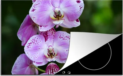Produktbild von KitchenYeah© Herdabdeckplatte Blühende Orchideen , 85x52cm, Küche Deko, Glaskeramikkochfeld Herdabdeckung, Abdeckplatte fùr Kochfeld