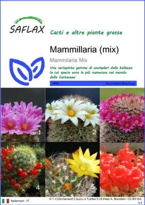 Immagine prodotto di SAFLAX  - Mammillaria (mix) - 40 semi - Mammilaria