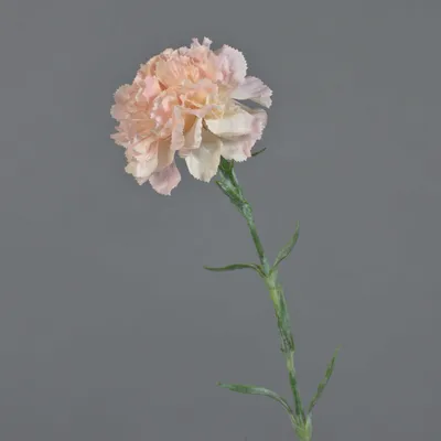 Produktbild von artplants.de Künstliche Nelke NIRUSHA, rosa-Creme, 65cm - Kunst Nelken