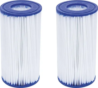 Two white pleated filter cartridges with blue tops are shown side-by-side against a white background.