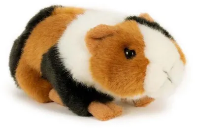 Image de Cochon d'Inde en peluche, 16 cm, à partir de 0 mois