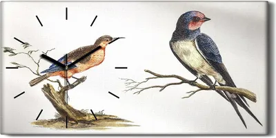 Produktbild von Wohnzimmer-Bild Leinwand Uhr 60x30 Zeichnen von Tieren Vögel Zweig Kunst - schwarze Hände