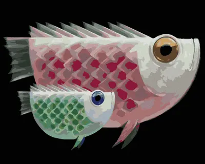 Produktbild von Zuty - Malen nach Zahlen - RIESENFISCH UND SEIN RIESENBABY, 40x50 cm, mit Keilrahmen (bereits gespannt)