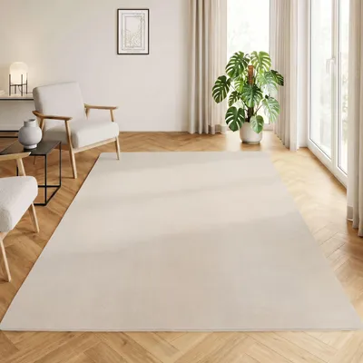 Image de Homebyhome Tapis Lavable à Poils Courts Antidérapant et Doux Design Uni Moderne pour Salon et Chambre à Coucher, Taille: 140x200 cm