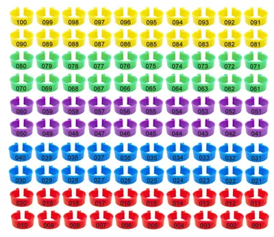 100 Beinringe für Hühner, 20 mm, 5 Farben, Geflügelmarkierung