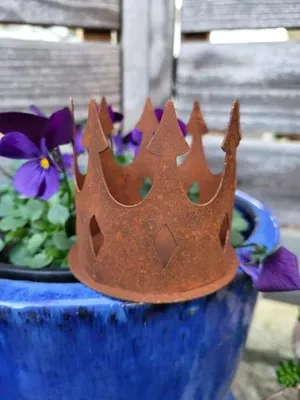 Image de Couronne en inox à visser