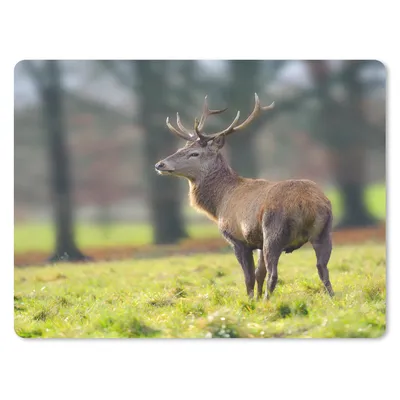 Produktbild von MuchoWow® Mauspad Mousepad Rothirsch - Wiese - Grün 23x19 cm - Mousepads - Maus Mat - Pad - Mausunterlage - Schreibtischunterlage - Mauspad