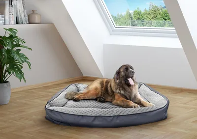 Produktbild von Hundebett orthopädisches Tierbett für jede Hundegröße waschbar V-30.31110x80