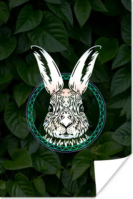 Produktbild von MuchoWow® Poster Blätter - Tier - Hase 20x30 cm - Papierdruck