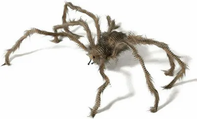 Produktbild von Halloween-Dekoration Spinne