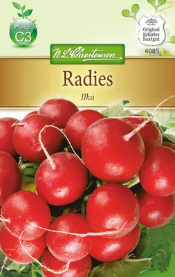 Produktbild von Radies Ilka | Radieschensamen von N.L. Chrestensen