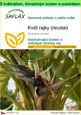 Obrázek produktu pro SAFLAX Garden to go - květ rajky (nicolai) - Strelitzia nicolai - 5 Semena - S květináčem, klimatickou poklicí a pěstebním substrátem