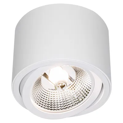 A white, cylindrical ceiling light with a swiveling spotlight.