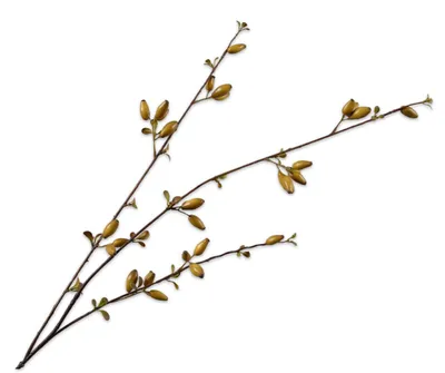 Produktbild von Silk-ka Kunstblume – Seidenblumen-Hagebuttenzweig, Bordeauxbraun, 84 cm