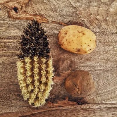 Image de Brosse à légumes en bois