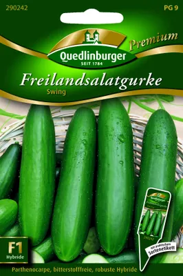 Produktbild von Freilandsalatgurke, Swing F1