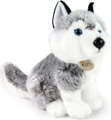 Zdjęcie produktu dla RAPPA Pluszowy pies husky siedzący 30 cm ECO-FRIENDLY