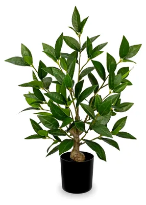 Produktbild von Künstliche Grünpflanzen 50 cm Lorbeerbaum im Topf