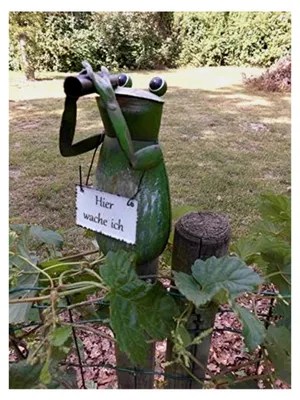 Produktbild von Zaunfigur Frosch mit Fernglas - Hier wache ich