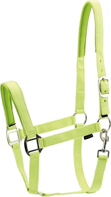 Produktbild von Horse Guard Nylonhalfter für Pferde - lime - Warmblut