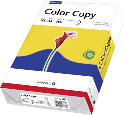 Image de PAPYRUS 88007867 Papier multifonctions Color Copy A4 160 g/qm