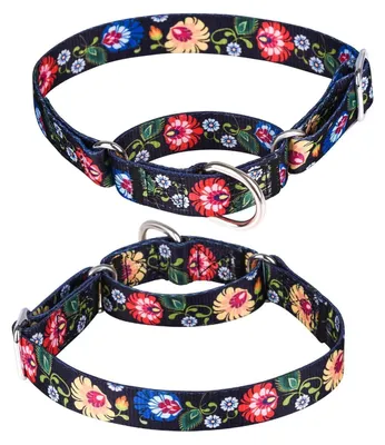 Immagine prodotto di Collare per cani Martingale, in nylon, regolabile, colore nero, taglia M, circonferenza 36-45 cm