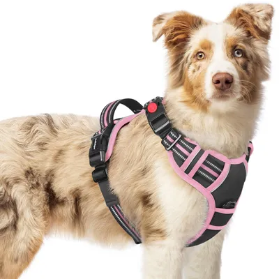 Produktbild von Hundegeschirr für mittelgroße Hunde, schwarz und rosa