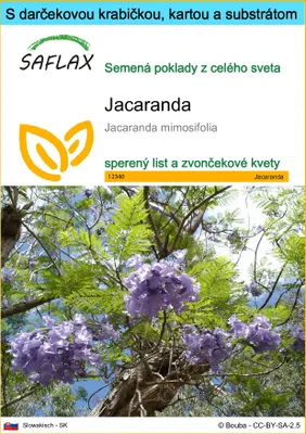 Obrázok produktu pre SAFLAX Darčeková sada - jacaranda - Jacaranda mimosifolia - 50 Semená - S darčekovou krabičkou, prepravným štítkom, darčekovou kartou a pestovateľským médiom