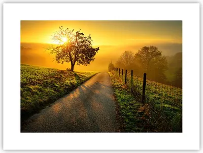 Produktbild von Poster - Poster ohne Rahmen - Feld Straße Baum - 40x30 cm - Wand Bild - Wanddeko - Wandbilder - Kunstposter - Wandposter - Bilder - Kunstdruck - Wanddekoration - Wandbild - P2XAA40x30-3851