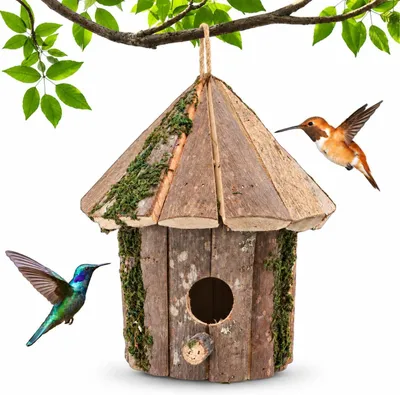 Productafbeelding van Houten vogelhuis, decoratief, met bescherming tegen roofdieren, om op te hangen, voor de tuin