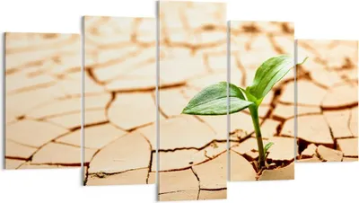 Produktbild von Bild auf Leinwand - Leinwandbild - Wüste Erde Umwelt - 160x85cm - Wand Bild - Wanddeko - Wandbilder - Leinwanddruck - Bilder - Kunstdruck - Wanddekoration - Leinwand bilder - Wandkunst - EA160x85-2173