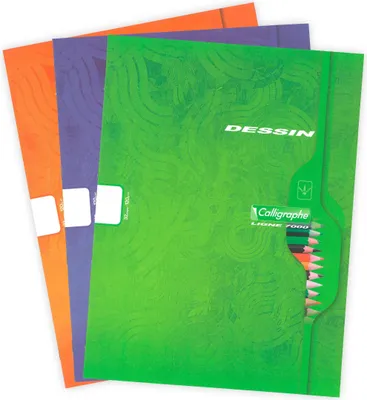 Produktbild von Calligraphe 10x Spiralheft 3D 12X12 100 BL TEDDY - Sortiert 7553C