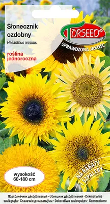 Produktbild von Samen Sonnenblumenmischung 2g - Torseed