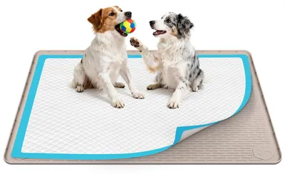 Produktbild von Silikon-Hundetoilettenhalter für die Welpentraining