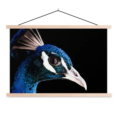 Produktbild von MuchoWow® Textilposter Pfau - Tier - Blau 120x80 cm mit holzfarbenen Rahmen - Aufhängeset