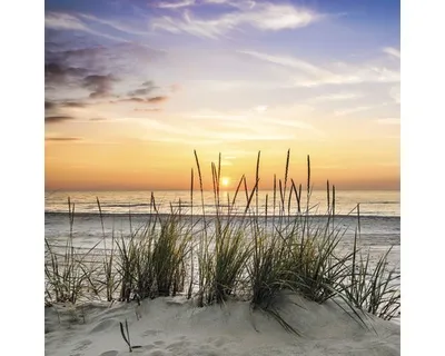 Produktbild von Leinwandbild Lonely Dune 27x27 cm