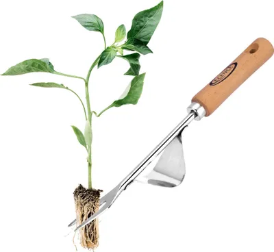 Produktbild von ECENCE Unkrautstecher Edelstahl, Wurzeljäter mit Holzgriff, Manueller Weeder zum Graben, Jäten, L