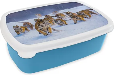 Produktbild von KitchenYeah® Lunchbox Brotzeit Brotdose 17x11 cm Tiger - Schnee - Wilde Tiere - Winter Kinder Brotzeitdose - Lunch - Kunststoff - Brotbüchse - Sandwichbox - Lunchbox für Kinder