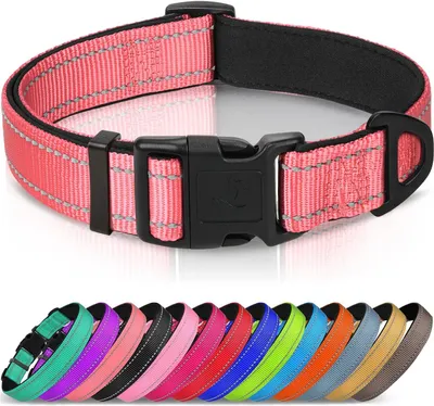 Produktbild von Hunde Halsband S, Reflektierend, Verstellbar, Sicherheit für kleine Hunde