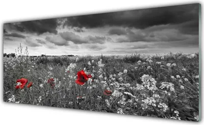 Produktbild von Acrylglasbilder 125x50 Wandbild Druck Wiese Blumen Natur
