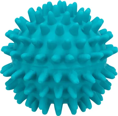 Immagine prodotto di Igelball Hundespielzeug ø 7 cm diverse